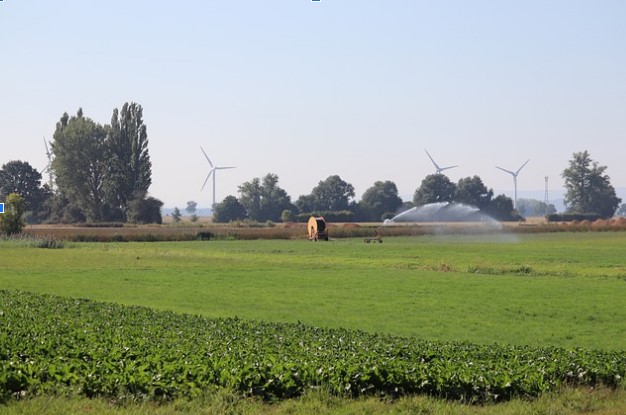 ¿Cómo optimizar el agua en sistemas de riego?
 