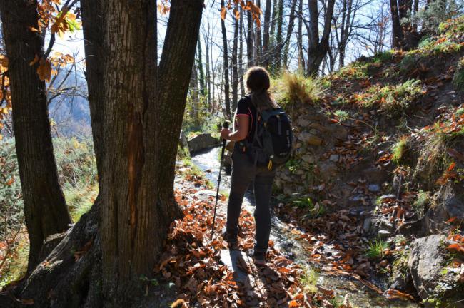 Los Castaños De Lanjarón en Las Tres Rutas De 'Deporte Y Naturaleza' de Vícar