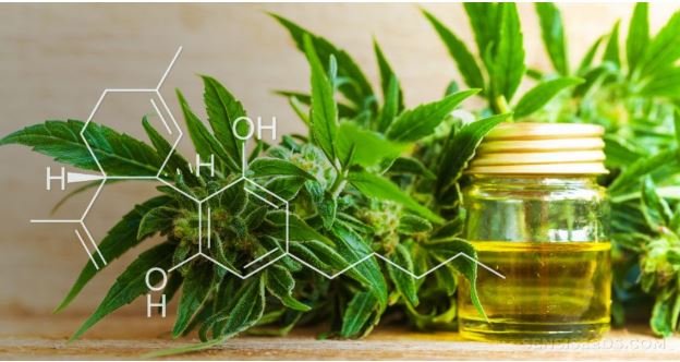 Conociendo los beneficios del CBD