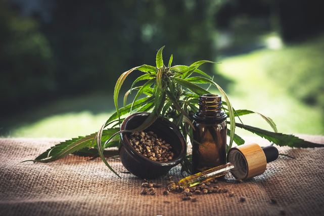 3 consejos para elegir la mejor flor de CBD