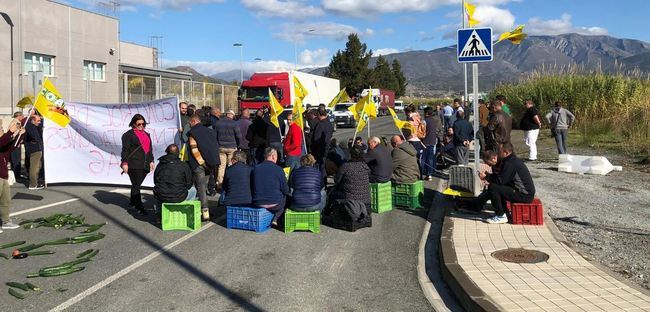 Agricultores cortan el acceso al Puerto de Motril por la entrada de producto sin control