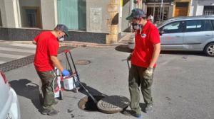 El Ayuntamiento de Berja intensifica el control de plagas con la llegada del verano