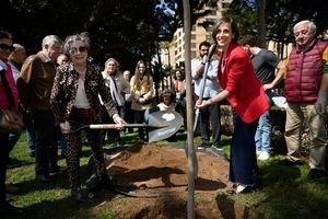 Un Framboyán para celebrar el Día Internacional del Árbol