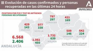 El covid19 se dispara por encima de los 600 contagios y suma 4 muertos