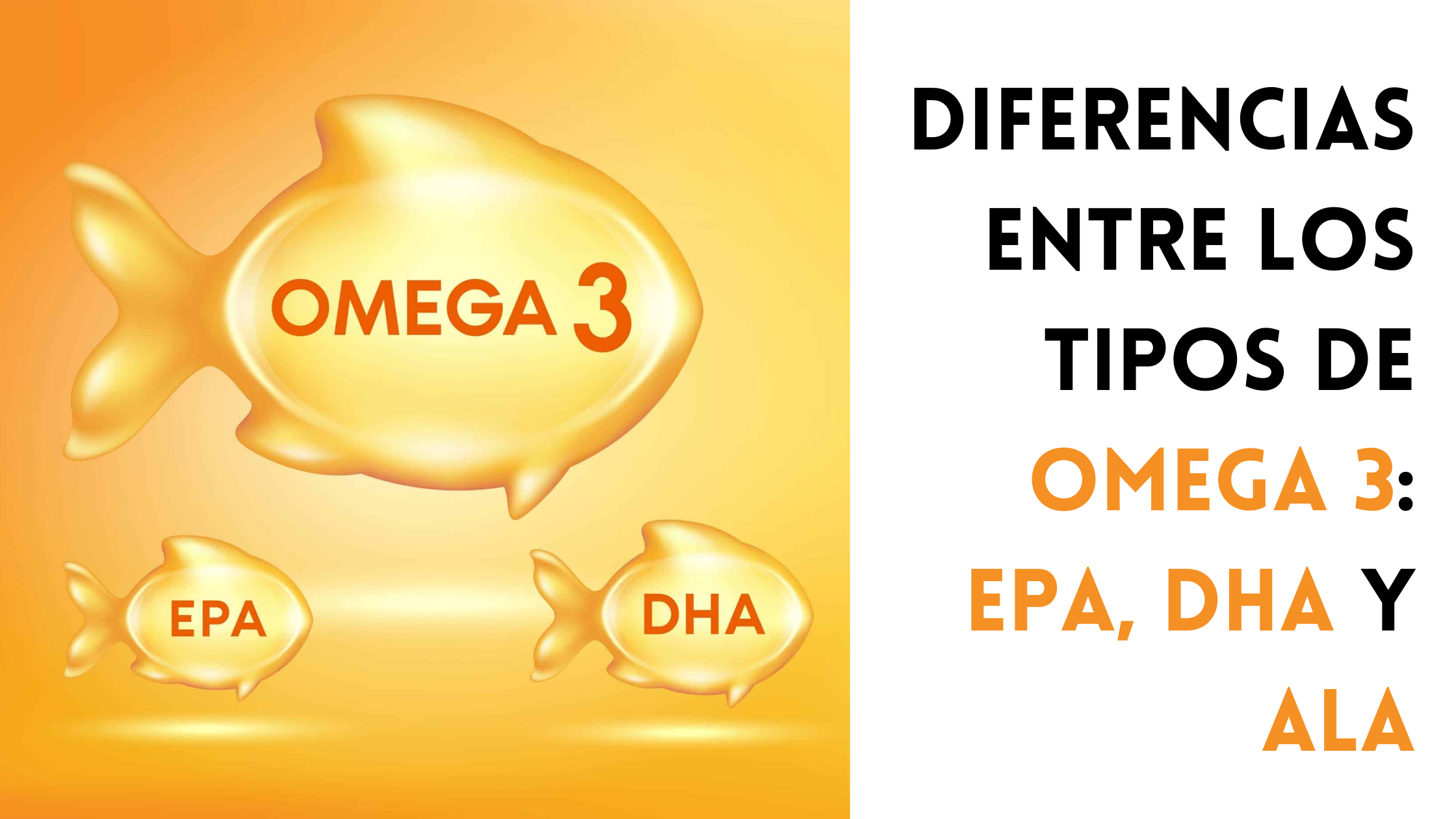 Diferencias entre los tipos de Omega 3: EPA, DHA y ALA