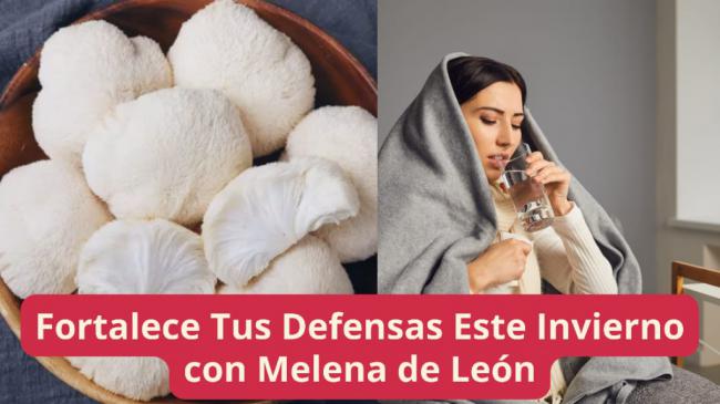 Fortalece Tus Defensas Este Invierno con Melena de León