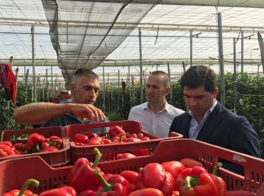 Enrique Moreno: “Ciudadanos es el gran aliado de la agricultura en Andalucía”