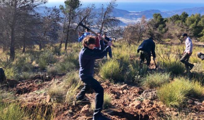 El proyecto Reforesta Berja realiza un ensayo con encinas en El Zarzalón