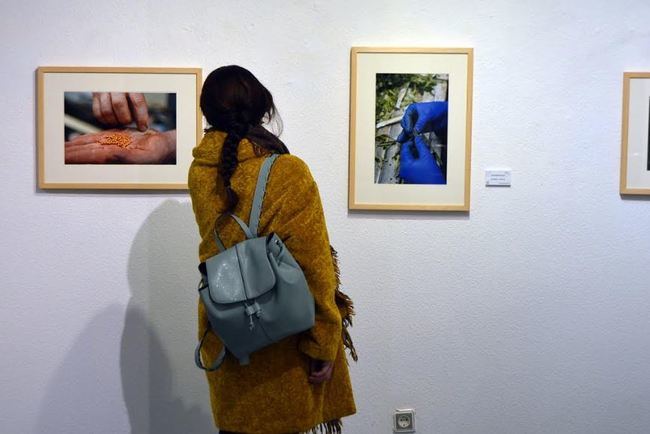 El Museo de Arte Espacio 2 hace un recorrido fotográfico por el campo almeriense