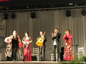 Espectacular colofón del IV Festival de Flamenco del Jaroso