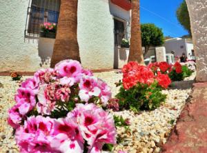 ‘Flores De Mayo’ para la primavera de La Villa De Vícar