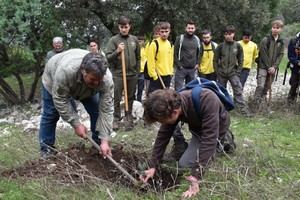 Jóvenes cordobeses plantan pinsapos