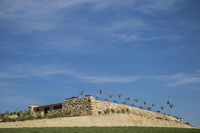 El mejor vino de España nace y se hace en Cuevas del Almanzora