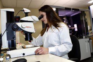 La UAL impulsa la ciencia femenina por el Día de la Mujer y la Niña en la Ciencia