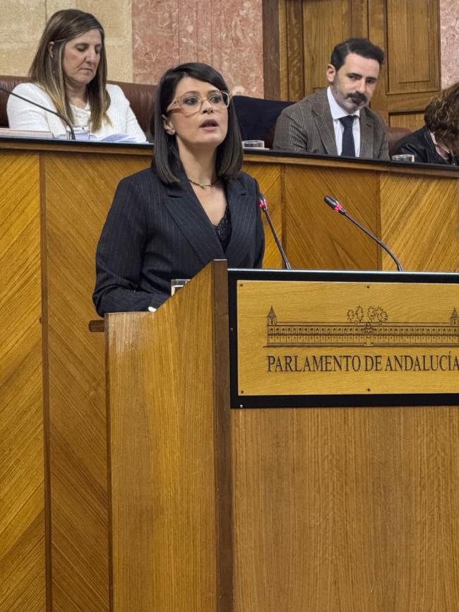 Ángeles Martínez defiende los presupuestos andaluces en el Parlamento