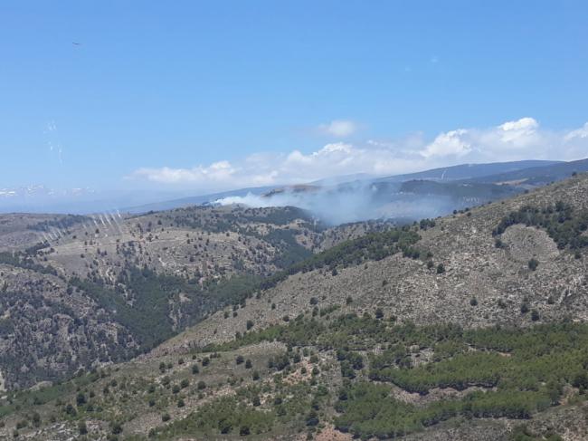 Declarado un incendio forestal en Laujar de Andarax