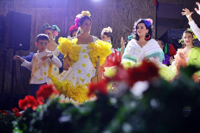 Éxito solidario en la V Gala Vive en Flamenco