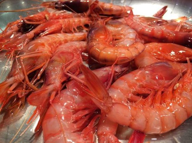 La gamba roja de Garrucha reúne a chefs de ARTCUA