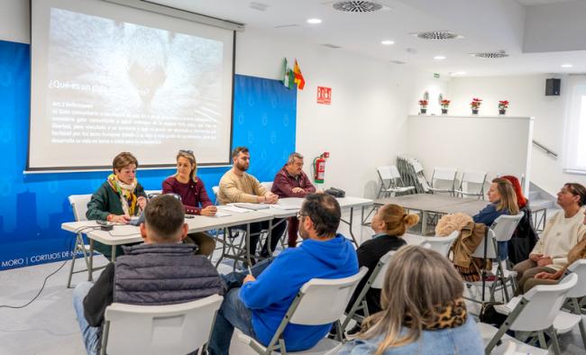 Roquetas de Mar inicia programa para gestionar colonias felinas