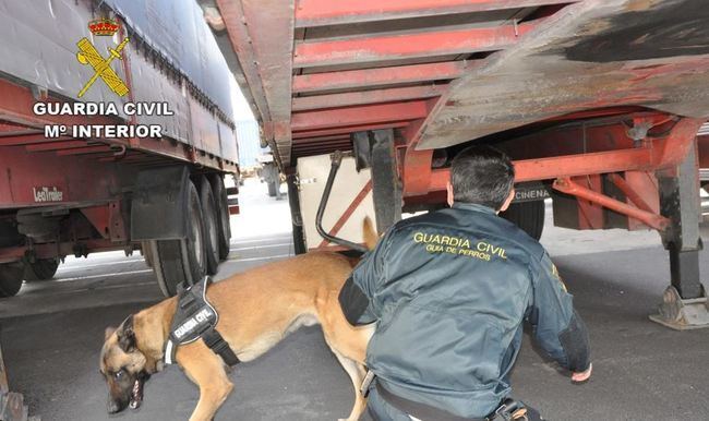 Rescatan a tres jóvenes con síntomas de asfixia ocultos 24 horas en un camión de acrílicos de textil