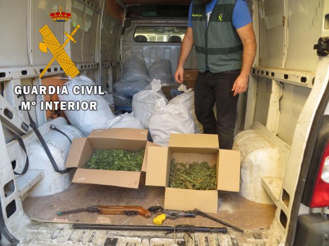 Armas de fuego reales y simulada en manos de un cultivador de marihuana