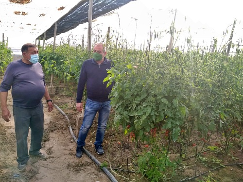 La helada daña 100 hectáreas agrícolas de Níjar