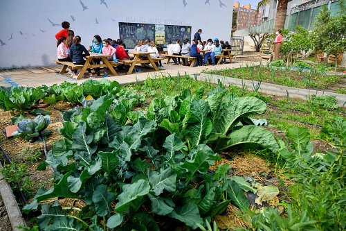 El Ayuntamiento entrega los premios a los mejores huertos escolares de la ciudad