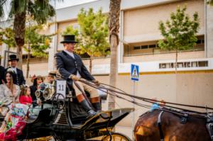 Roquetas de Mar acoge el I Concurso Morfológico de Caballos de Pura Raza Española