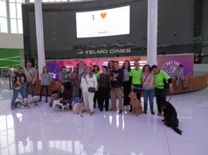 Éxito rotundo en el segundo aniversario Pet Friendly del Centro Comercial Torrecárdenas