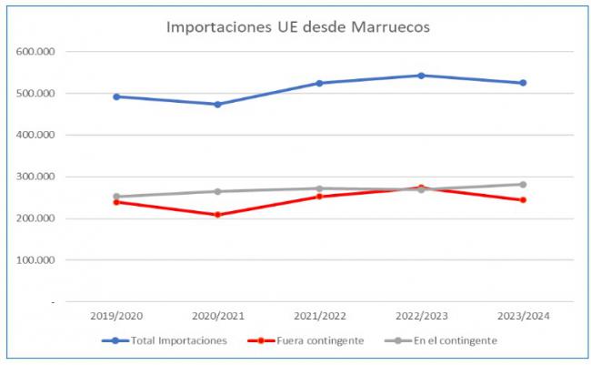 COAG emprenderá acciones legales por fraude fiscal contra los importadores de tomate marroquí