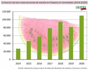 Las importaciones de sandía se multiplican por 9 en apenas 5 años