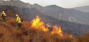 Extinguido el incendio declarado en el barranco Cortijo de la Viña de Rioja