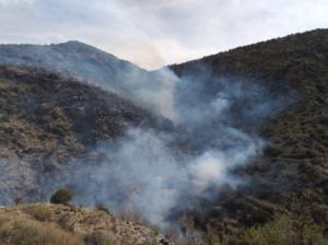 Infoca da por estabilizado el incendio declarado en el Barranco de Lotrines en Abrucena