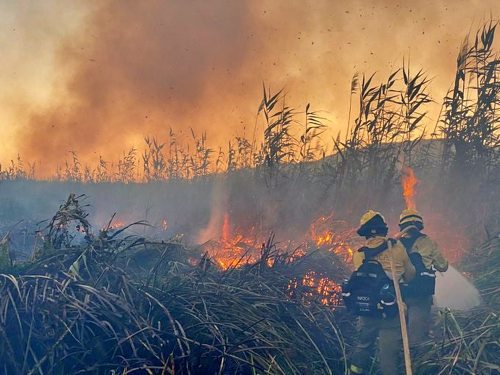 Un incendio calcina 2,5 hectáreas de matorral en Las Albuferas de Adra