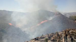 Infoca da por estabilizado el incendio en Berja y por controlado un segundo fuego en Lubrín