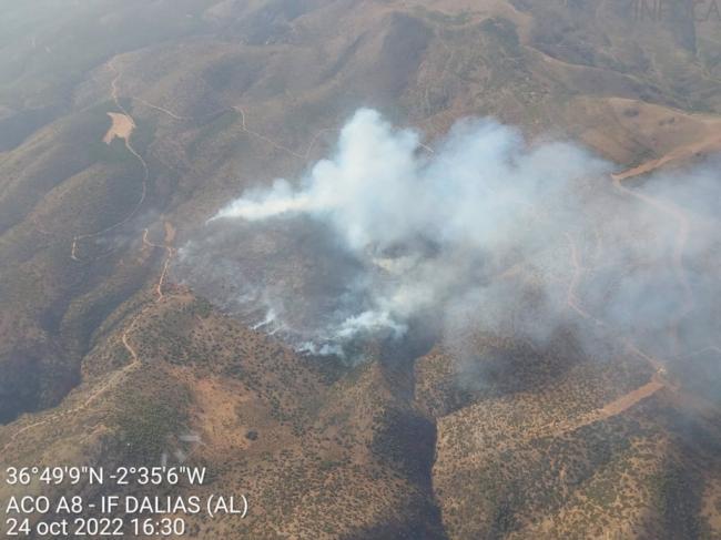 Un detenido por su presunta vinculación con el incendio en la Sierra de Gádor