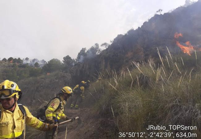 El Infoca da por estabilizado un incendio forestal en Vícar