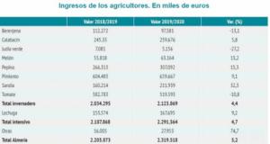 El valor de las exportaciones hortícolas creció durante el confinamiento por #COVID19