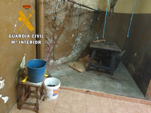 La Guardia Civil localiza en Berja un matadero clandestino