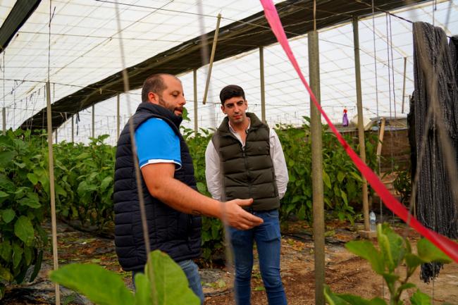 El Ejido promueve el uso de rafias biodegradables entre agricultores para reducir el impacto ambiental