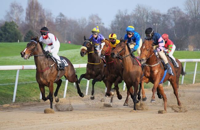 Cómo apostar a las carreras de caballos