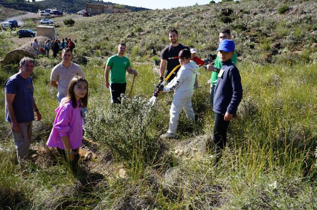 Los Escolares De Vícar, Comprometidos Con El Medio Ambiente