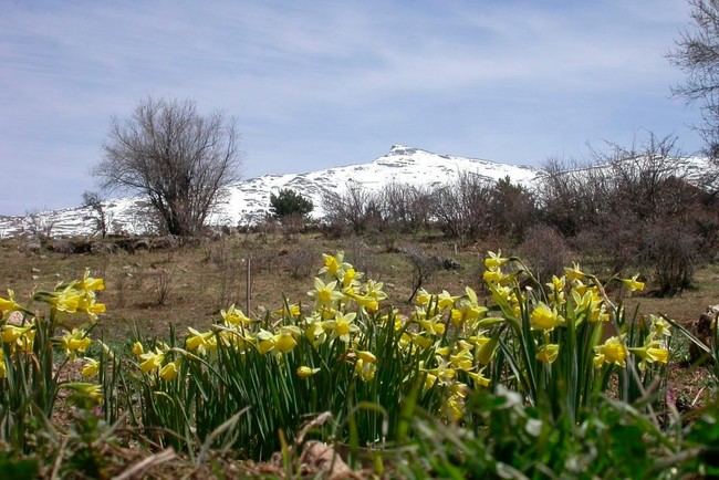 Más de 15.000 visitantes en jardines botánicos de Almería en 2024