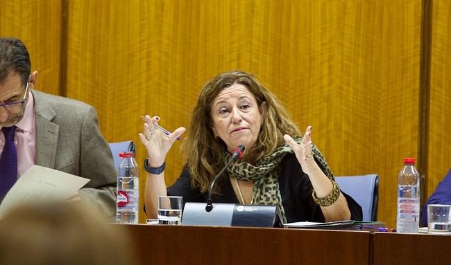 Almería suma 2.096 profesionales para la atención de alumnado con necesidades educativas especiales