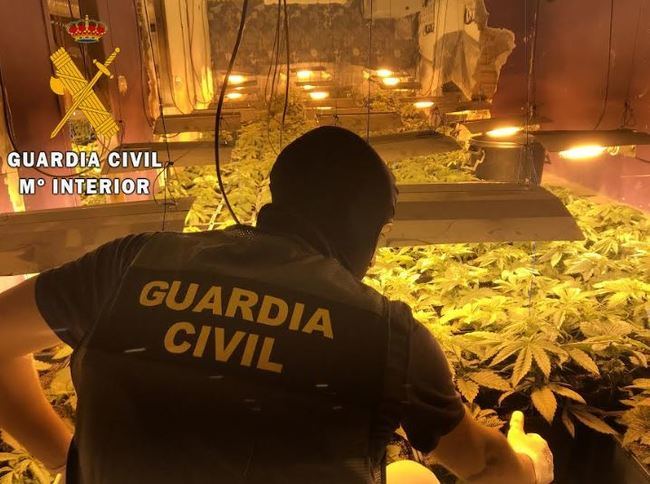 La Guardia Civil localiza una plantación indoor de marihuana con 114 plantas