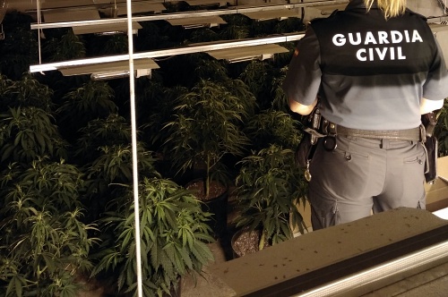 La Guardia Civil detiene al responsable de una plantación de marihuana en Roquetas de Mar