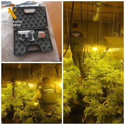 Dos detenidos y dos investigados tras hallar 422 plantas de marihuana y un arma corta en Níjar