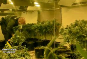 La Guardia Civil detiene a los tres responsables de un cultivo indoor de marihuana