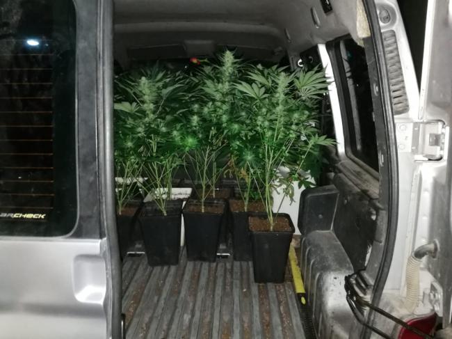 La Policía Local de Vícar interviene un transporte nocturno de marihuana