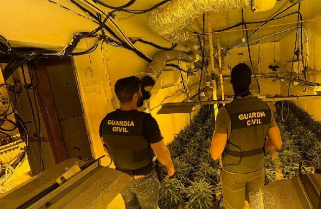 La Guardia Civil desmantela un importante centro de producción de marihuana en Vícar